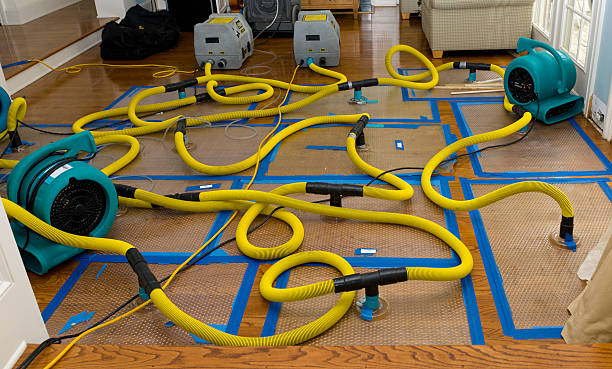 Professional Storm Water Damage Restoration technician working in Everett, PA